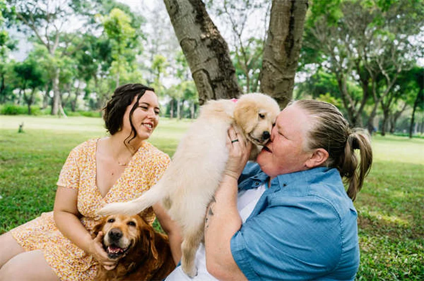Lactulosa para mascotas: Alivia el estreñimiento y problemas hepáticos
